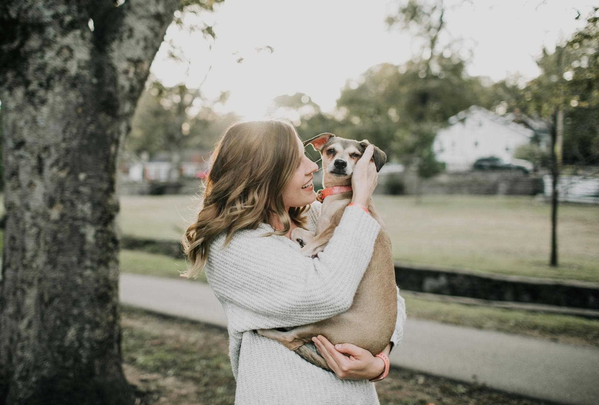 Specialist Vets in Philadelphia