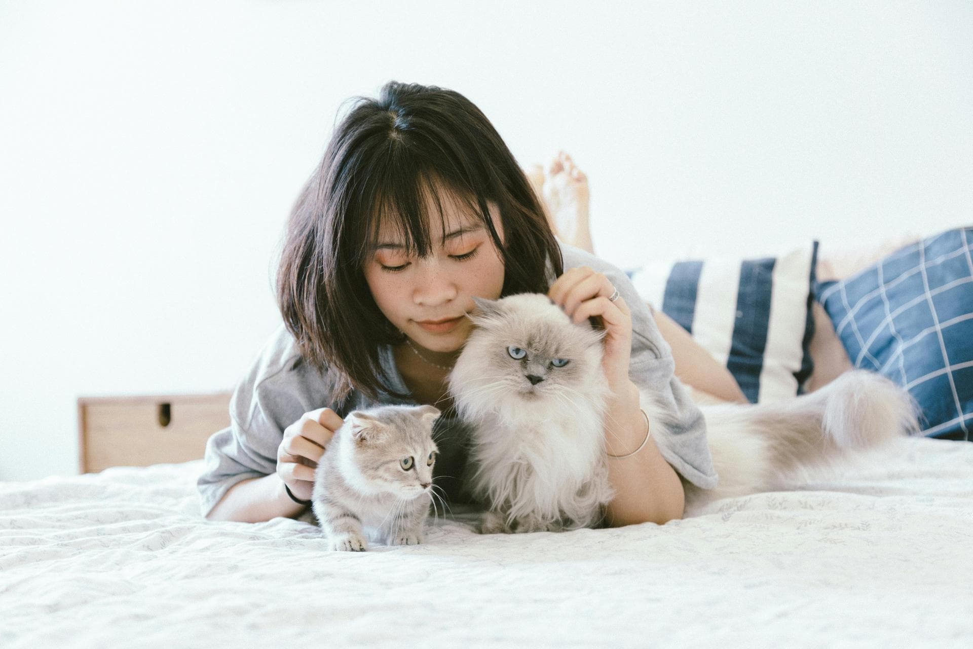 Dog & Cat Vets in Philadelphia